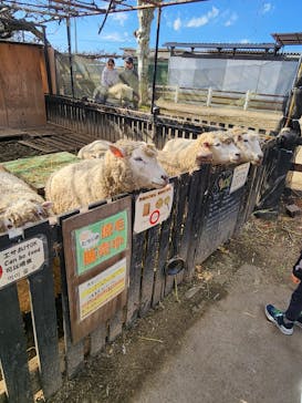 宇都宮動物園に投稿された画像（2026/1/12）