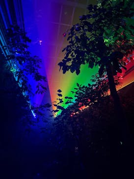 京都府立植物園　LIGHT CYCLES KYOTOに投稿された画像（2026/1/12）