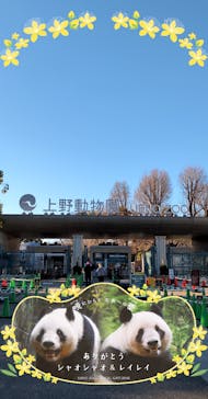 恩賜上野動物園に投稿された画像（2026/1/12）