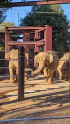 恩賜上野動物園に投稿された画像（2026/1/12）