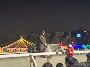 東京メガイルミに投稿された画像（2026/1/12）