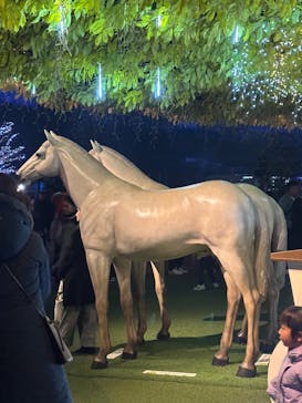 東京メガイルミに投稿された画像（2026/1/12）