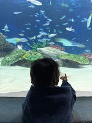 サンシャイン水族館に投稿された画像（2026/1/12）