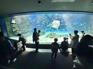 サンシャイン水族館に投稿された画像（2026/1/12）