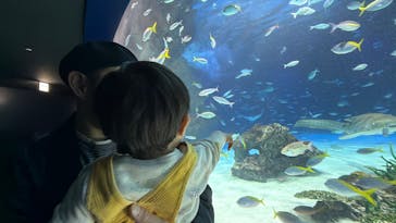 サンシャイン水族館に投稿された画像（2026/1/12）