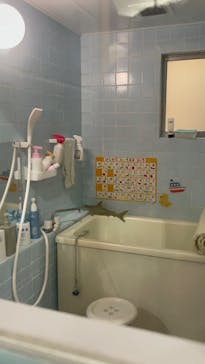 Mozuミニチュア展　ようこそ、ちいさな世界へ。in 銀座（銀座三越）に投稿された画像（2026/1/12）