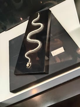 沖縄県立博物館・美術館〔おきみゅー〕に投稿された画像（2026/1/12）