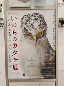 沖縄県立博物館・美術館〔おきみゅー〕に投稿された画像（2026/1/12）
