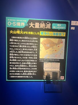 特別展「大絶滅展―生命史のビッグファイブ」に投稿された画像（2026/1/12）