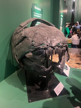 特別展「大絶滅展―生命史のビッグファイブ」に投稿された画像（2026/1/12）