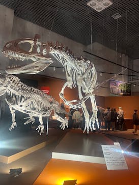 特別展「大絶滅展―生命史のビッグファイブ」に投稿された画像（2026/1/12）