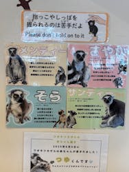 アニタッチみなとみらいに投稿された画像（2026/1/12）