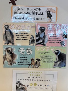 アニタッチみなとみらいに投稿された画像（2026/1/12）