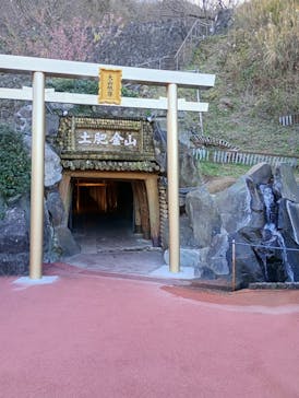 土肥金山に投稿された画像（2026/1/12）