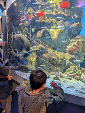 新江ノ島水族館に投稿された画像（2026/1/12）