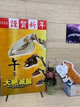 印象派オルセー展×大絶滅展に投稿された画像（2026/1/12）