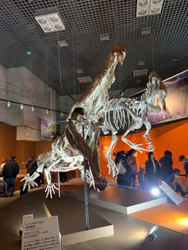 印象派オルセー展×大絶滅展に投稿された画像（2026/1/12）