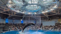 マクセル アクアパーク品川に投稿された画像（2026/1/12）