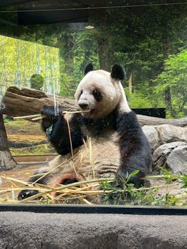 恩賜上野動物園に投稿された画像（2026/1/12）