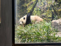 恩賜上野動物園に投稿された画像（2026/1/12）