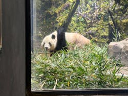恩賜上野動物園に投稿された画像（2026/1/12）
