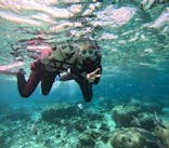 沖縄マリンサービス碧に投稿された画像（2026/1/12）