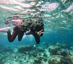 沖縄マリンサービス碧に投稿された画像（2026/1/12）