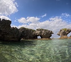 沖縄マリンサービス碧に投稿された画像（2026/1/12）