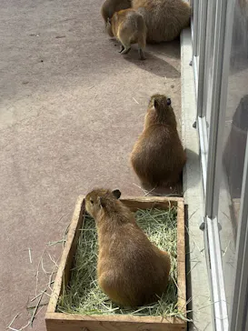 竹島水族館に投稿された画像（2026/1/12）