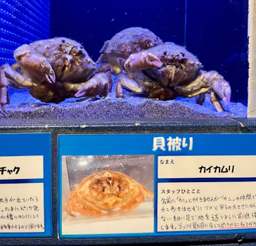 竹島水族館に投稿された画像（2026/1/12）