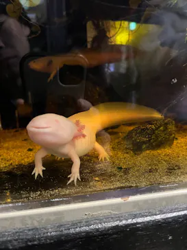 竹島水族館に投稿された画像（2026/1/12）