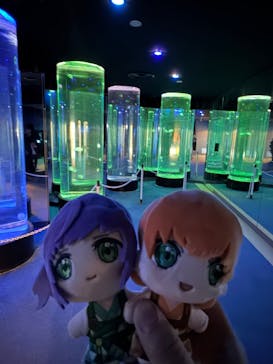 のとじま水族館に投稿された画像（2026/1/12）