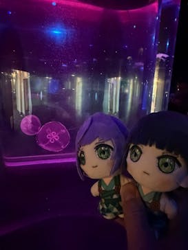 のとじま水族館に投稿された画像（2026/1/12）