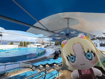 のとじま水族館に投稿された画像（2026/1/12）