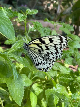 多摩動物公園に投稿された画像（2026/1/12）