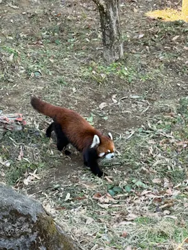 多摩動物公園に投稿された画像（2026/1/12）
