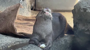 多摩動物公園に投稿された画像（2026/1/12）