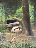恩賜上野動物園に投稿された画像（2026/1/12）