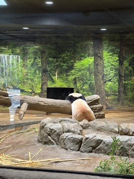 恩賜上野動物園に投稿された画像（2026/1/12）