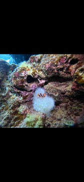 武藤潜水に投稿された画像（2026/1/12）