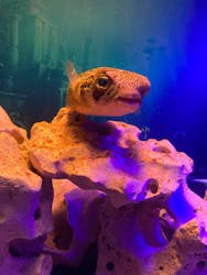 ひらかたパークに投稿された画像（2026/1/12）