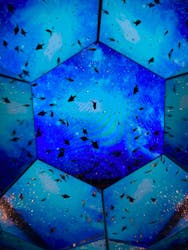 ひらかたパークに投稿された画像（2026/1/12）