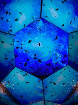 ひらかたパークに投稿された画像（2026/1/12）