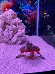 ひらかたパークに投稿された画像（2026/1/12）