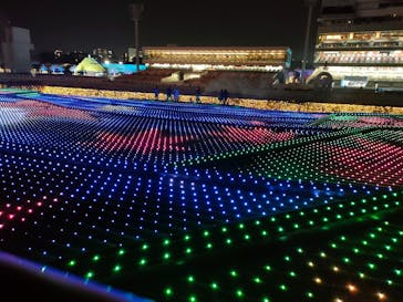 東京メガイルミに投稿された画像（2026/1/12）