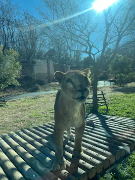 多摩動物公園に投稿された画像（2026/1/12）