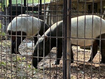 名古屋市東山動植物園に投稿された画像（2026/1/12）