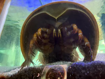 竹島水族館に投稿された画像（2026/1/12）