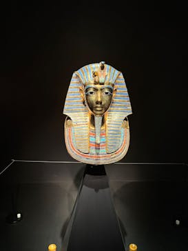 MYSTERY OF TUTANKHAMEN 体感型古代エジプト展に投稿された画像（2026/1/12）