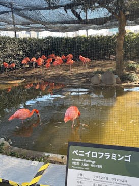 恩賜上野動物園に投稿された画像（2026/1/12）